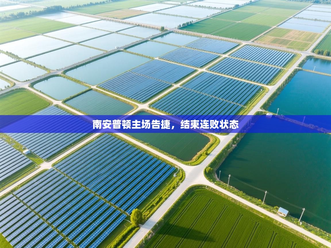 南安普顿主场告捷，结束连败状态  第2张